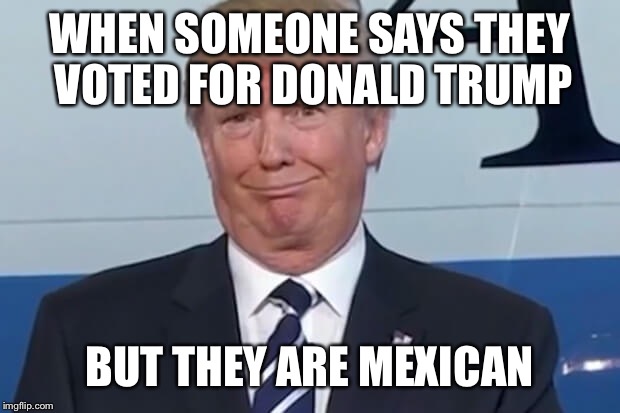 donald trump | WHEN SOMEONE SAYS THEY VOTED FOR DONALD TRUMP; BUT THEY ARE MEXICAN | image tagged in donald trump | made w/ Imgflip meme maker