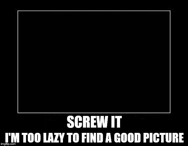 getting lazy | SCREW IT; I'M TOO LAZY TO FIND A GOOD PICTURE | image tagged in lame | made w/ Imgflip meme maker