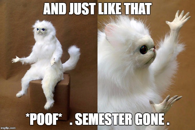 Persian Cat Room Guardian | AND JUST LIKE THAT; *POOF*

 . SEMESTER GONE . | image tagged in memes,persian cat room guardian | made w/ Imgflip meme maker