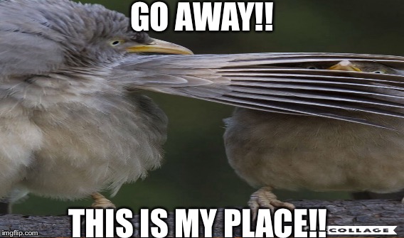 GO AWAY!! THIS IS MY PLACE!! | made w/ Imgflip meme maker