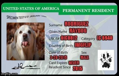 Take that suckas...I'm legit !!! | image tagged in green card,memes,raydog,legitimate,united states citizen,funny | made w/ Imgflip meme maker