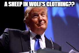 Donal trump | A SHEEP IN WOLF'S CLOTHING?? | image tagged in donal trump | made w/ Imgflip meme maker