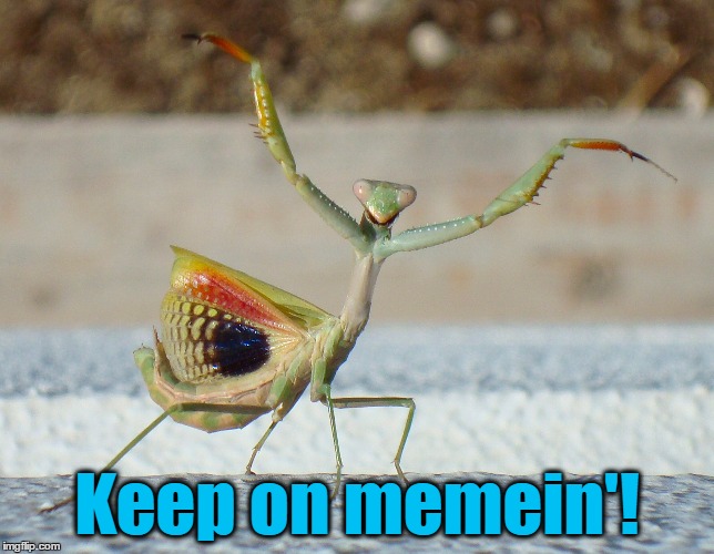 Keep on memein'! | made w/ Imgflip meme maker