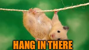 HANG IN THERE | made w/ Imgflip meme maker