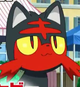 Litten Blank Meme Template