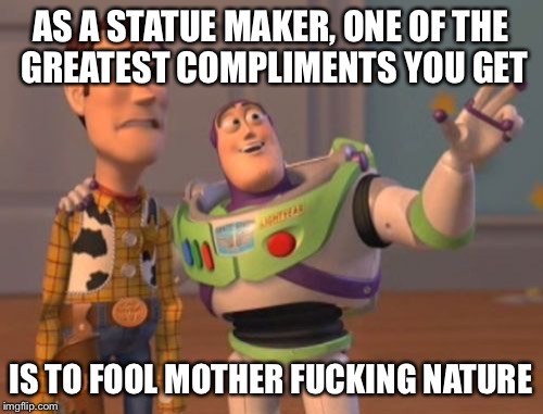 X, X Everywhere Meme | AS A STATUE MAKER, ONE OF THE GREATEST COMPLIMENTS YOU GET IS TO FOOL MOTHER F**KING NATURE | image tagged in memes,x x everywhere | made w/ Imgflip meme maker