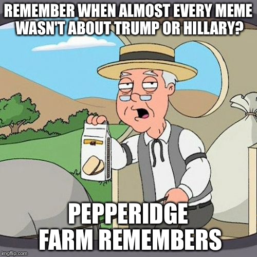 Pepperidge Farm Remembers | REMEMBER WHEN ALMOST EVERY MEME WASN'T ABOUT TRUMP OR HILLARY? PEPPERIDGE FARM REMEMBERS | image tagged in memes,pepperidge farm remembers | made w/ Imgflip meme maker