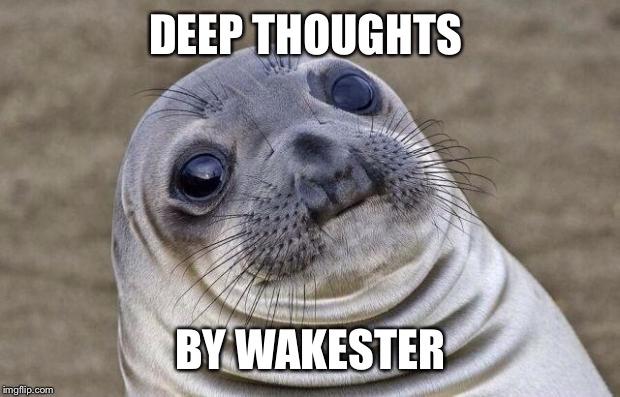 Awkward Moment Sealion Meme | DEEP THOUGHTS BY WAKESTER | image tagged in memes,awkward moment sealion | made w/ Imgflip meme maker