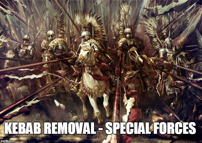 Winged Hussars |  KEBAB REMOVAL - SPECIAL FORCES | image tagged in winged hussars | made w/ Imgflip meme maker