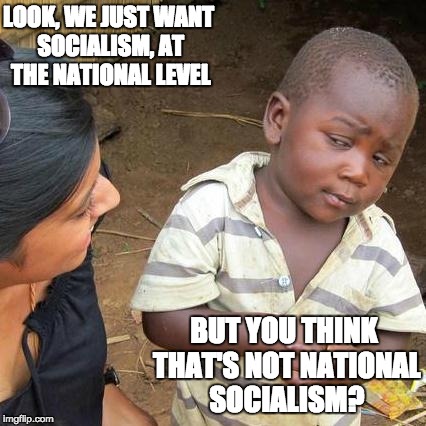 National Socialists |  LOOK, WE JUST WANT SOCIALISM, AT THE NATIONAL LEVEL; BUT YOU THINK THAT'S NOT NATIONAL SOCIALISM? | image tagged in memes,third world skeptical kid,national socialism | made w/ Imgflip meme maker