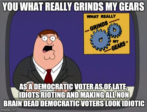 Honestly, stop | YOU WHAT REALLY GRINDS MY GEARS; AS A DEMOCRATIC VOTER AS OF LATE, IDIOTS RIOTING AND MAKING ALL NON BRAIN DEAD DEMOCRATIC VOTERS LOOK IDIOTIC | image tagged in memes,peter griffin news | made w/ Imgflip meme maker