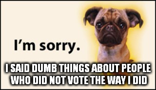 sorry | I SAID DUMB THINGS ABOUT PEOPLE WHO DID NOT VOTE THE WAY I DID | image tagged in election 2016,election | made w/ Imgflip meme maker