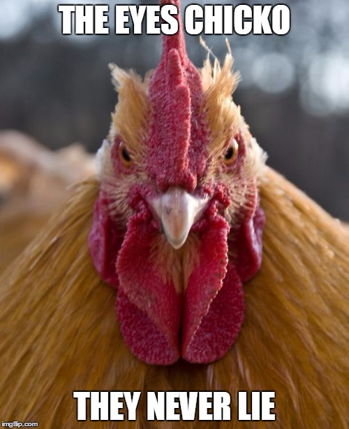 Angry Chicken | THE EYES CHICKO; THEY NEVER LIE | image tagged in angry chicken | made w/ Imgflip meme maker