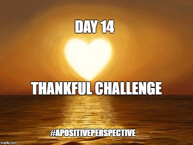 Love | DAY 14; THANKFUL CHALLENGE; #APOSITIVEPERSPECTIVE | image tagged in love | made w/ Imgflip meme maker