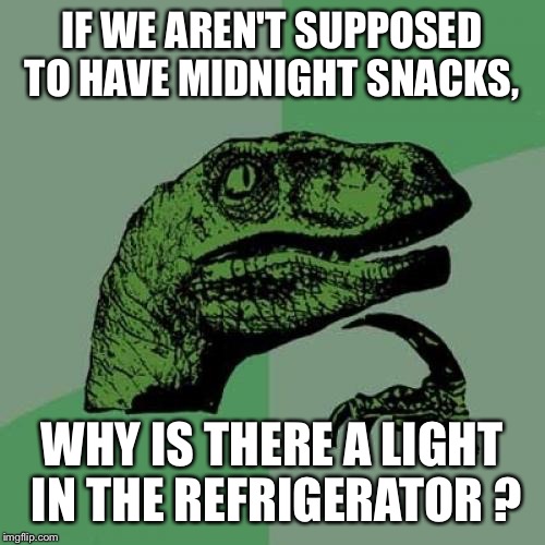 Not sure, this could be first world problem.  | IF WE AREN'T SUPPOSED TO HAVE MIDNIGHT SNACKS, WHY IS THERE A LIGHT IN THE REFRIGERATOR ? | image tagged in memes,philosoraptor | made w/ Imgflip meme maker