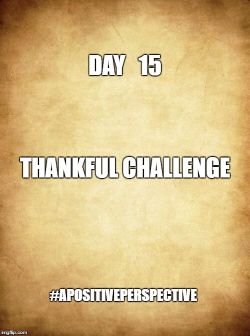 Love | DAY   15; THANKFUL CHALLENGE; #APOSITIVEPERSPECTIVE | image tagged in love | made w/ Imgflip meme maker