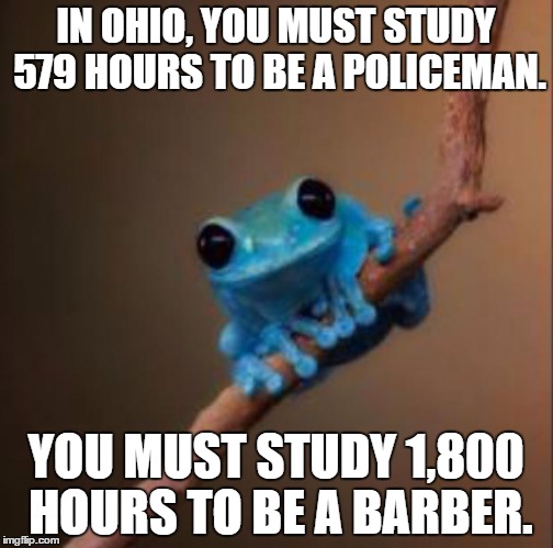 Small fact frog | IN OHIO, YOU MUST STUDY 579 HOURS TO BE A POLICEMAN. YOU MUST STUDY 1,800 HOURS TO BE A BARBER. | image tagged in small fact frog | made w/ Imgflip meme maker