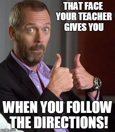 Dr. House | THAT FACE YOUR TEACHER GIVES YOU; WHEN YOU FOLLOW THE DIRECTIONS! | image tagged in dr house | made w/ Imgflip meme maker