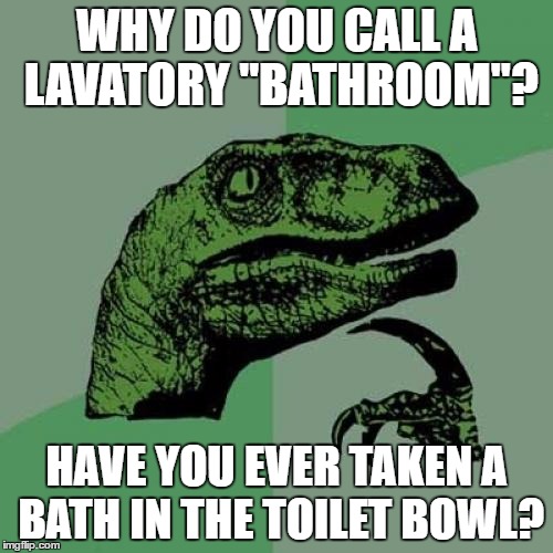 Philosoraptor | WHY DO YOU CALL A LAVATORY "BATHROOM"? HAVE YOU EVER TAKEN A BATH IN THE TOILET BOWL? | image tagged in memes,philosoraptor | made w/ Imgflip meme maker