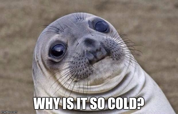 Awkward Moment Sealion Meme | WHY IS IT SO COLD? | image tagged in memes,awkward moment sealion | made w/ Imgflip meme maker