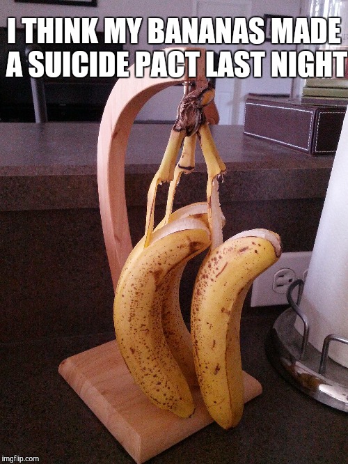 I THINK MY BANANAS MADE A SUICIDE PACT LAST NIGHT | image tagged in bananas,suicide | made w/ Imgflip meme maker