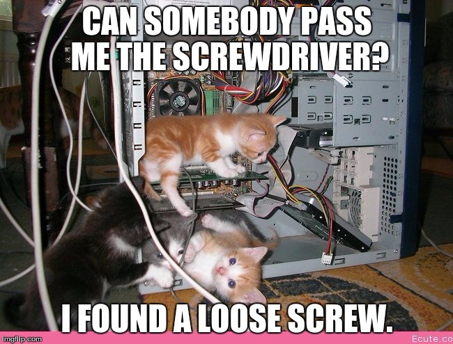 Kittens fixing a computer | CAN SOMEBODY PASS ME THE SCREWDRIVER? I FOUND A LOOSE SCREW. | image tagged in kittens fixing a computer | made w/ Imgflip meme maker