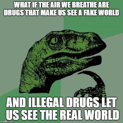 Philosoraptor Meme | WHAT IF THE AIR WE BREATHE ARE DRUGS THAT MAKE US SEE A FAKE WORLD; AND ILLEGAL DRUGS LET US SEE THE REAL WORLD | image tagged in memes,philosoraptor | made w/ Imgflip meme maker
