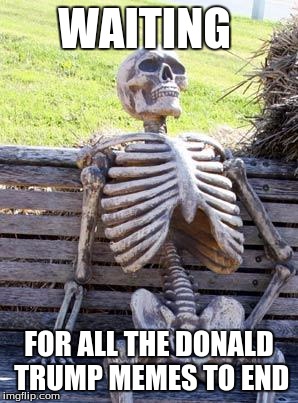 Waiting Skeleton | WAITING; FOR ALL THE DONALD TRUMP MEMES TO END | image tagged in memes,waiting skeleton | made w/ Imgflip meme maker