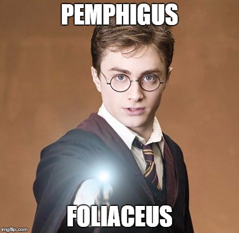 harry potter casting a spell | PEMPHIGUS; FOLIACEUS | image tagged in harry potter casting a spell | made w/ Imgflip meme maker