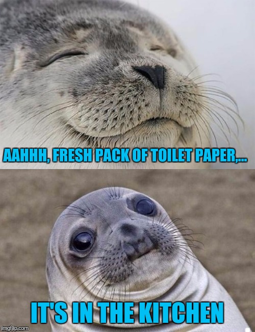 Went shopping, didn't put everything away....yet | AAHHH, FRESH PACK OF TOILET PAPER,... IT'S IN THE KITCHEN | image tagged in funny memes,sewmyeyesshut,toilet humor,faaaaack | made w/ Imgflip meme maker