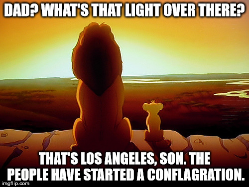 Lion King | DAD? WHAT'S THAT LIGHT OVER THERE? THAT'S LOS ANGELES, SON. THE PEOPLE HAVE STARTED A CONFLAGRATION. | image tagged in memes,lion king | made w/ Imgflip meme maker