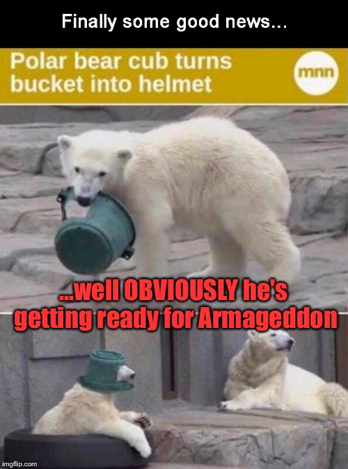 If You Think I'm Joking, DON'T: | ...well OBVIOUSLY he's getting ready for Armageddon | image tagged in memes,polar bear,animals,funny animals,donald trump | made w/ Imgflip meme maker