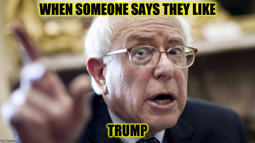 Bernie Sanders | WHEN SOMEONE SAYS THEY LIKE; TRUMP | image tagged in bernie sanders | made w/ Imgflip meme maker