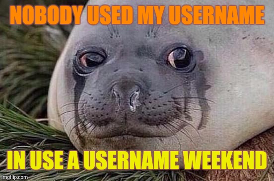 To be fair though, it's kinda hard to use "that_guy_who_wants_to_be_on_the_" tho... | NOBODY USED MY USERNAME; IN USE A USERNAME WEEKEND | image tagged in sad seal,memes,use a username weekend | made w/ Imgflip meme maker