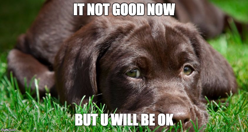 IT NOT GOOD NOW; BUT U WILL BE OK | image tagged in u will be ok | made w/ Imgflip meme maker