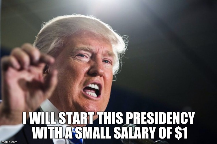 Donny Trump | I WILL START THIS PRESIDENCY WITH A SMALL SALARY OF $1 | image tagged in donald trump,1,tags,more tags,random tags,bad tags | made w/ Imgflip meme maker