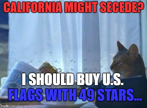 Mad Money Jim Cramer is already on it... | CALIFORNIA MIGHT SECEDE? I SHOULD BUY U.S. FLAGS WITH 49 STARS... | image tagged in memes,i should buy a boat cat,california,flags,mad money jim cramer,money | made w/ Imgflip meme maker