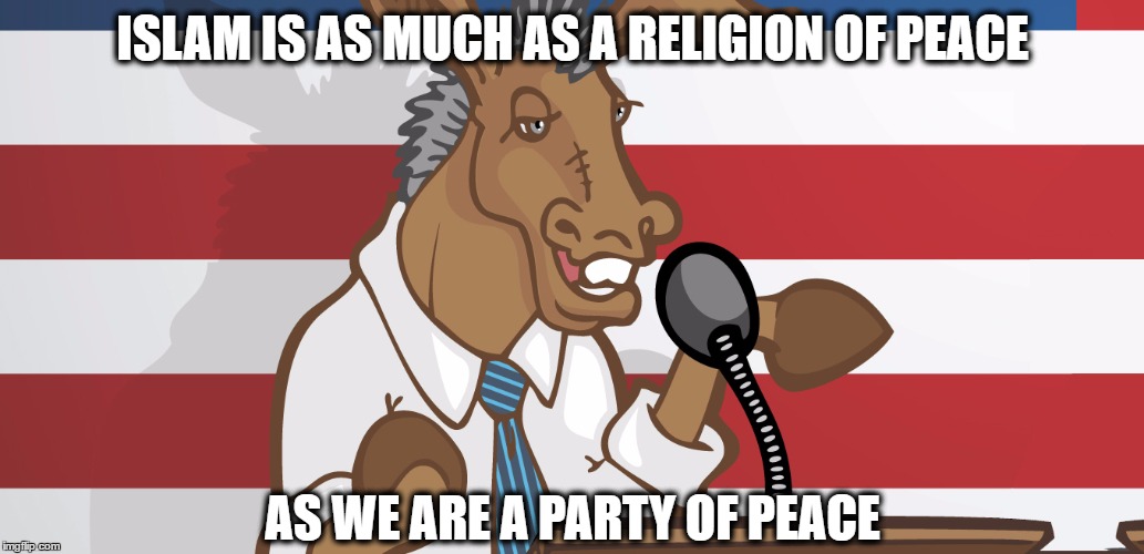 dnc | ISLAM IS AS MUCH AS A RELIGION OF PEACE; AS WE ARE A PARTY OF PEACE | image tagged in dnc | made w/ Imgflip meme maker