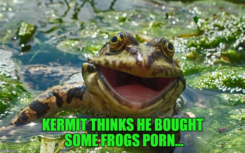 KERMIT THINKS HE BOUGHT SOME FROGS PORN... | made w/ Imgflip meme maker