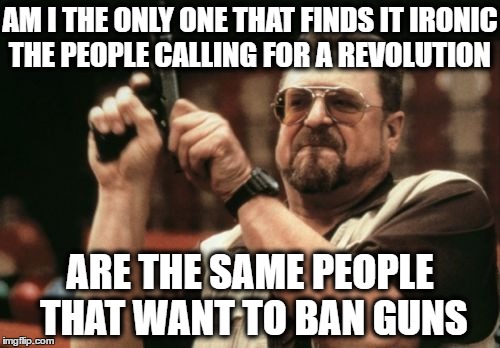 Am I The Only One Around Here | AM I THE ONLY ONE THAT FINDS IT IRONIC THE PEOPLE CALLING FOR A REVOLUTION; ARE THE SAME PEOPLE THAT WANT TO BAN GUNS | image tagged in memes,am i the only one around here | made w/ Imgflip meme maker
