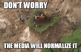 stranded cows | DON'T WORRY; THE MEDIA WILL NORMALIZE IT | image tagged in media,cows,earthquake | made w/ Imgflip meme maker