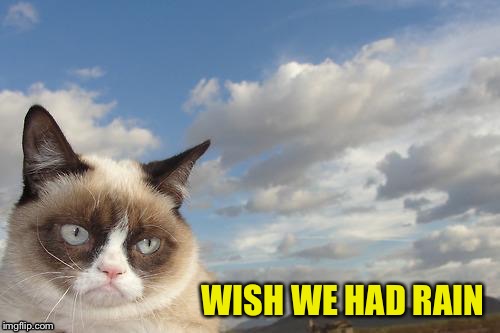 WISH WE HAD RAIN | made w/ Imgflip meme maker