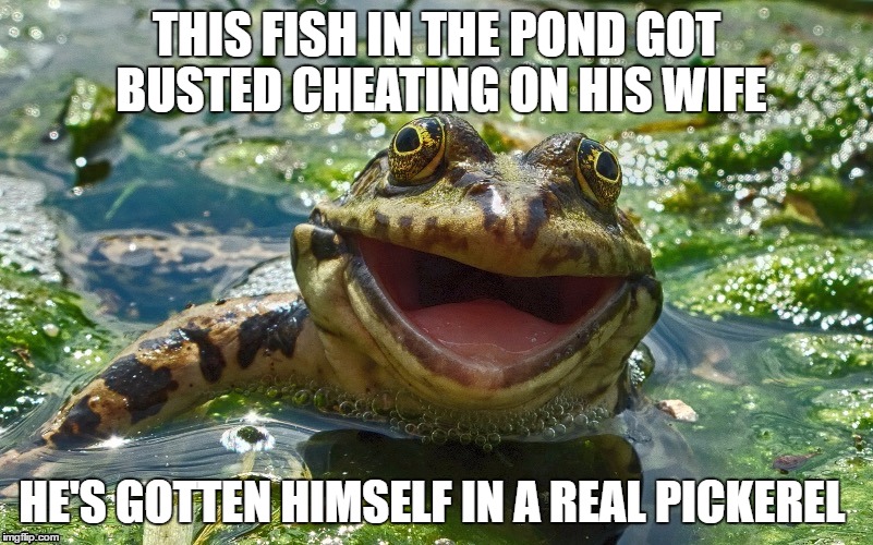 TodaysReality Frog Template |  THIS FISH IN THE POND GOT BUSTED CHEATING ON HIS WIFE; HE'S GOTTEN HIMSELF IN A REAL PICKEREL | image tagged in frog pond,bad pun,memes,frogs,todaysreality,fish pond | made w/ Imgflip meme maker