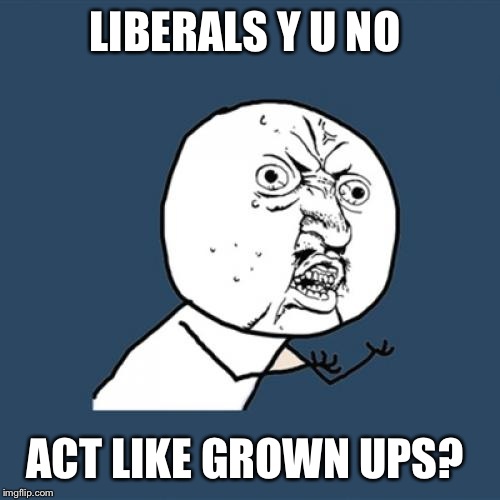 Y U No | LIBERALS Y U NO; ACT LIKE GROWN UPS? | image tagged in memes,y u no | made w/ Imgflip meme maker