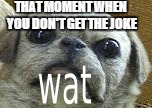 THAT MOMENT WHEN YOU DON'T GET THE JOKE | made w/ Imgflip meme maker
