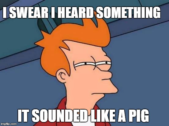 Futurama Fry | I SWEAR I HEARD SOMETHING; IT SOUNDED LIKE A PIG | image tagged in memes,futurama fry | made w/ Imgflip meme maker