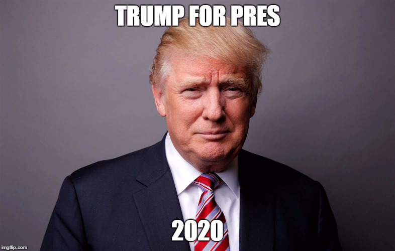 Repost this!!! | TRUMP FOR PRES; 2020 | image tagged in donald trump,trump,maga,trump for president,hillary clinton,not my president | made w/ Imgflip meme maker