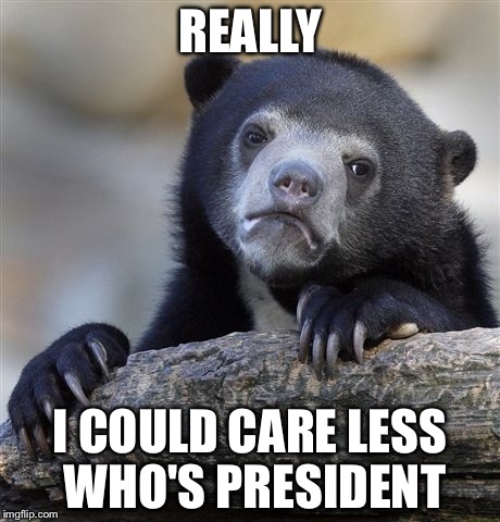 Idc :" l | REALLY; I COULD CARE LESS WHO'S PRESIDENT | image tagged in memes,confession bear | made w/ Imgflip meme maker