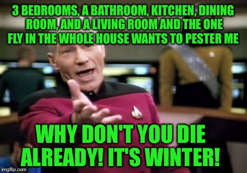 Picard Wtf Meme | 3 BEDROOMS, A BATHROOM, KITCHEN, DINING ROOM, AND A LIVING ROOM AND THE ONE FLY IN THE WHOLE HOUSE WANTS TO PESTER ME; WHY DON'T YOU DIE ALREADY! IT'S WINTER! | image tagged in memes,picard wtf | made w/ Imgflip meme maker
