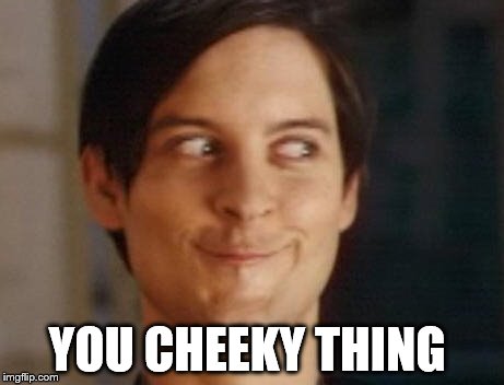 Spiderman Peter Parker | YOU CHEEKY THING | image tagged in memes,spiderman peter parker | made w/ Imgflip meme maker